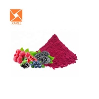 Natuurlijk fruitpoeder blend van gemengde natuurlijk gevriesdroogde rode vruchten en bessenpoeder