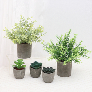 Lot de 5 plantes artificielles Greatflower durables pour <span class=keywords><strong>intérieur</strong></span> : <span class=keywords><strong>Eucalyptus</strong></span>, Romarin, Succulentes en <span class=keywords><strong>pot</strong></span> en papier pour décoration de bureau et de maison - Product Image 2