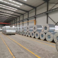 Fabrikherstellung Vorlackierte PPGI Farbbeschichtete Stahlspule für Metalldachplatten