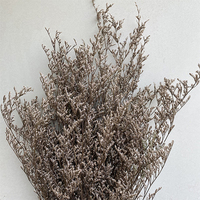 Fleurs séchées naturelles de Limonium Safora (Misty) préservées, avec un processus d'absorption de couleur longue durée de 3 à 5 ans, pour la décoration de la maison et de mariages