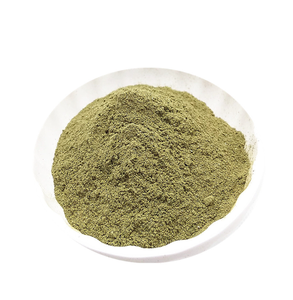 Поставка высококачественного порошка листьев тутового дерева, бесплатный образец, Лучшая цена, порошок тутового дерева/экстракт для продажи - Product Image 1