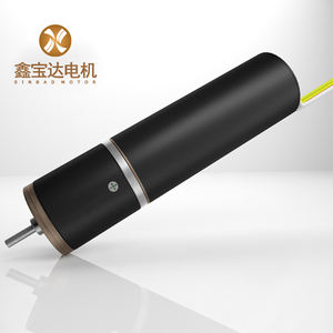 Motor BLDC Slotless de alta velocidad para Servo RC y extremidades artificiales, 1 unidad, 2 unidades - Product Image 6