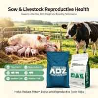 Degrader 6 types de mycotoxines, soulager l'immunosuppression, protéger le foie et les reins, et améliorer les performances d'élevage. Enzymes dégradatrices de mycotoxines.