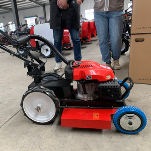 Cortacésped autopropulsado Campo <span class=keywords><strong>de</strong></span> golf Mini cortacésped <span class=keywords><strong>de</strong></span> gasolina <span class=keywords><strong>de</strong></span> giro cero - Product Image 5