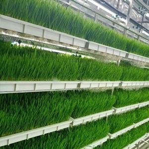 Fechado hidropônico recipiente máquina para cevada forragem germinação Green Animal Feed Manufacturing Equipment - Product Image 4