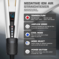 Uyisi Sèche-cheveux et lisseur 2-en-1 à air ionique haute vitesse avec écran LED, outil de coiffure électrique, vente chaude