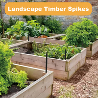 Piquets de sol en acier massif de 16 pouces et 6 mm de diamètre, lot de 10, pour clôtures, bois, béton, supports de plantes