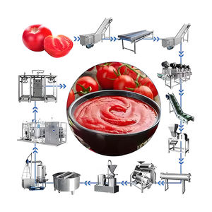 Lignes de transformation alimentaire haute performance pour la production de sirop et de confiture pour la confiture de framboises et autres confitures de fruits - Product Image 5