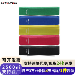 Bandes de Résistance Élastiques Arc-en-ciel 12,2x2,3 Pouces 5-40 Lbs pour Fitness, Yoga et Entraînement de Force - Product Image 3