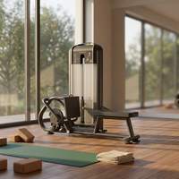 Equipo de gimnasio de fila baja para culturismo, máquina de ejercicio de espalda, máquina de remo/fila baja sentada, a la venta, al por mayor