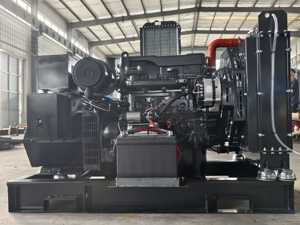 Generador trifásico de 400V 380V 80kW 100kVA, tipo silencioso sin escobillas, marco abierto, 50Hz, refrigerado por agua, alternador 100% cobre, Auto HK20DGW 8 - Product Image 3