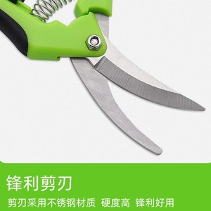 Nice Pruning <b>Shears</b> Stainless Steel 53mm Curved Blade Spring Loaded Garden <b>Tool</b> - Product Image 2