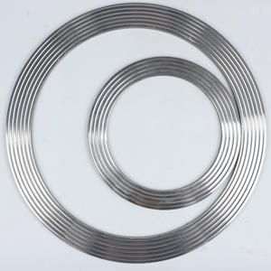 Guarnizione in Grafite Composita a Denti Ondulati in Acciaio Inossidabile Resistente ad Alta Temperatura e Alta Pressione Dongting, Personalizzabile - Product Image 2