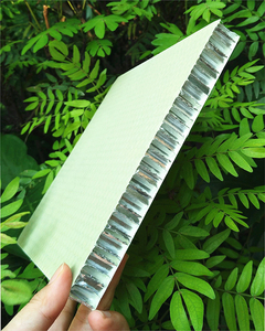 Panneaux sandwich <span class=keywords><strong>en</strong></span> FRP avec remplissage <span class=keywords><strong>en</strong></span> mousse PU - Panneaux sandwich avec revêtement <span class=keywords><strong>en</strong></span> gel, mousse PU, panneau sandwich FRP 	 	 	 	 Tempo - Product Image 4