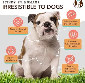 Etichetta personalizzata fabbrica Pet fegato morbido mastica integratore di fegato per il cane migliorare la disintossicazione epatica promuovere la funzione renale e la salute - Product Image 3