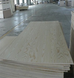 Contrachapado de pino CIMBRA <span class=keywords><strong>URUGUAYA</strong></span> PTS 12mm 15mm 18mm - Product Image 2