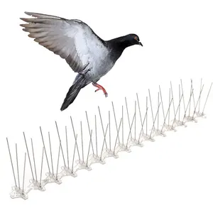 Pointes de contrôle des oiseaux en acier inoxydable