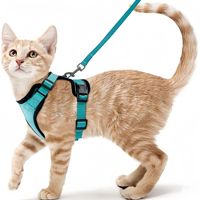 Ensemble harnais et collier pour chien avec laisse élastique, poignée de contrôle rembourrée tactique pour la randonnée et la course à pied