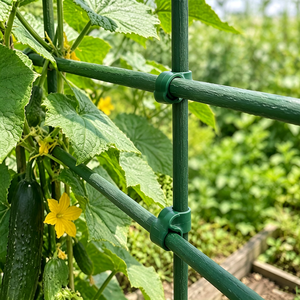 Conector Universal Giratorio Sunsbuild para Estacas de Plantas, Unión para Enredaderas de Jardín, para Tomate, Pepino, Frijol y Plantas Trepadoras - Product Image 4