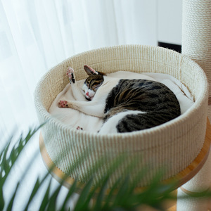 Arbre à chat moderne 60x60x150cm 4 niveaux avec hamac et lit Construction en bois durable pour chats d'intérieur - Product Image 4