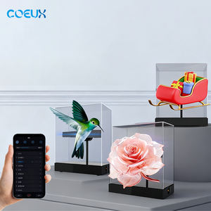 Alta resolución Full HD LED Publicidad Pantalla LCD Ad Player Holograma Software Reproduce automáticamente Animal <span class=keywords><strong>Animat</strong></span> al aire libre - Product Image 4