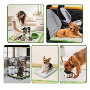 Ventes en gros de coussinets absorbants pour chiens jetables verts, 6 couches, anti-fuites, écologiques, haute absorption, plusieurs tailles - Product Image 6