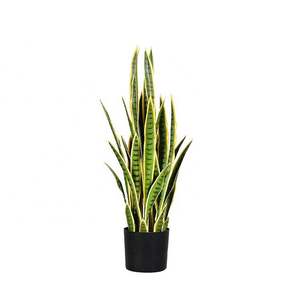 <span class=keywords><strong>Plante</strong></span> artificielle Sansevieria en PU <span class=keywords><strong>de</strong></span> haute qualité V-3267 pour <span class=keywords><strong>la</strong></span> décoration intérieure et l'utilisation en aménagement paysager - Product Image 6