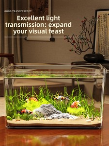 Piccolo <span class=keywords><strong>acquario</strong></span> domestico moderno nuovo <span class=keywords><strong>acquario</strong></span> quadrato pesce rosso allevamento di <span class=keywords><strong>tartarughe</strong></span> ecologiche nuovo piccolo accessorio <span class=keywords><strong>per</strong></span> <span class=keywords><strong>acquario</strong></span> da tavolo - Product Image 6