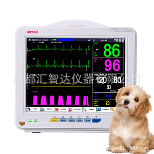 Monitor de ECG Portátil para Animales Huizhida de 12 Pulgadas, Monitor Multiparamétrico para Mascotas DJ 12N, Uso Veterinario - Product Image 5