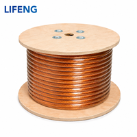 Cables de Alto Voltaje Industriales para Ferrocarril, Rectangulares, Aislados con Película, 0.05mm 44AWG, Cable Recubierto con Película Kapton PI para Motor de Vehículos Eléctricos, OEM/ODM