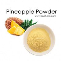 Ananassap Poeder Magazijn Bulk Natuurlijke Ananas Fruit Poeder