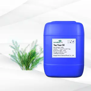 Aceite esencial de árbol de té a granel al por mayor de fábrica, muestra gratis, Etiqueta Privada, aceite de árbol de té orgánico natural puro 100% para el crecimiento del cabello