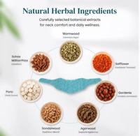 Patch chauffant cervical à base de plantes certifié CE, durée de conservation de 2 ans, 5 patchs/boîte, élimine le froid et l'humidité accumulés dans la colonne cervicale