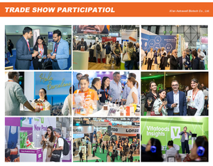 สารสกัดบร็อคโคลี่บริสุทธิ์จากธรรมชาติ Astrawell ผงสารสกัดจากต้นอ่อนบร็อคโคลี่บริสุทธิ์ พร้อมจำหน่ายแบบขายส่ง ผงสารสกัดจาก<span class=keywords><strong>เมล็ด</strong></span>บร็อคโคลี่ 0.1%-13% - Product Image 4