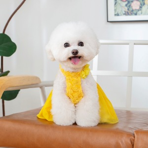 Robe pour animaux de compagnie, jaune citron, en polyester, style mignon, pour chiens, tenue jupe quatre saisons - Product Image 2