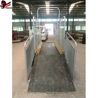 Tapis roulant équestre certifié CE avec double commande de moteur, 6 positions, 12-20 m pour l'entraînement des chevaux