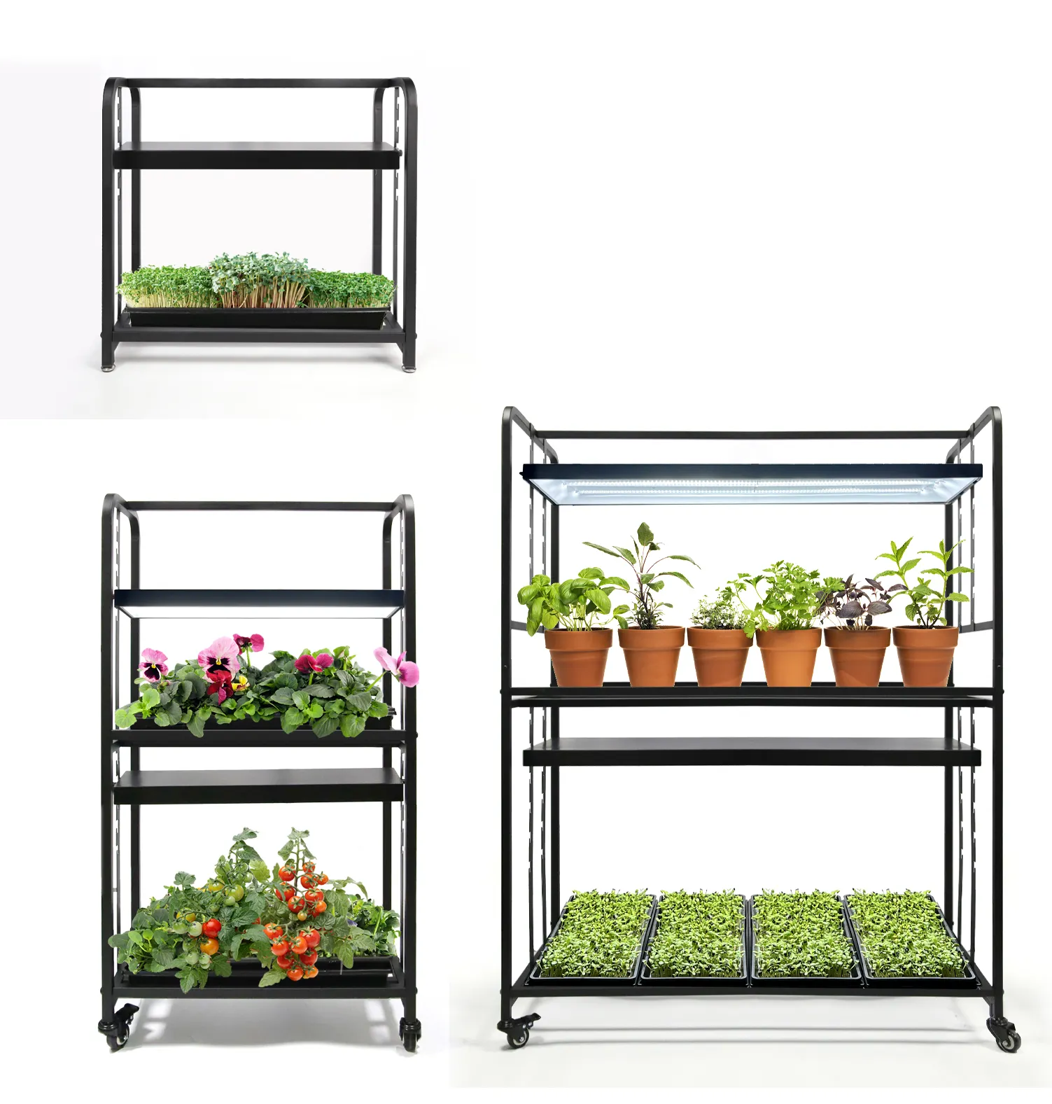 3つのオプションの屋内ガーデン植物スタンドキッチンガーデンシェルフ、種子の開始、多肉植物、ハーブ用のLEDフルスペクトルライト付き