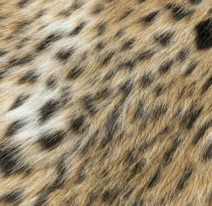 레오파드 프린트 100% 폴리에스터 인조 롱 헤어 플러시 인조 모피 의류 및 장난감 제작용 - Product Image 6
