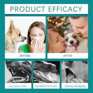 Aditivo para Agua Bucal para Perros Yegbong Sin Perfume, Refresca el Aliento, Limpia los Dientes y las Encías, Solución de Higiene Bucal - Product Image 3