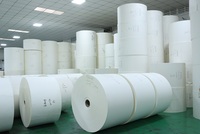Papier couché PE en rouleaux de 150 g/m² à 350 g/m² pour gobelets à café chaud – Prix usine