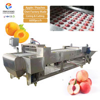 TWH-RG-5 SUS304 RVS Perzik Snijmachine Motor Hoge Efficiëntie Automatische Transportband Type voor Appel Fruitverwerking
