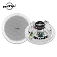 Metal malzeme alıcıları ile 6.5 inç kapalı ses tavan hoparlörler 6W Woofer ev amplifikatör
