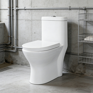 Nouvelle toilette de luxe moderne à double <span class=keywords><strong>chasse</strong></span>, à poser au sol, avec siphon anti-odeur S-trap, monobloc en céramique à fermeture lente, pour écoles - Product Image 5