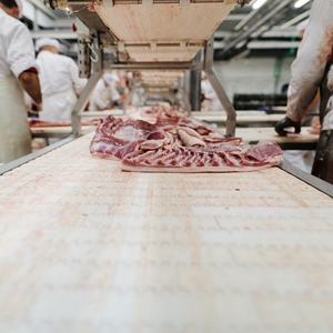 Nieuwe Food-Grade Kunststof <span class=keywords><strong>Module</strong></span> Band Transportband Voor Verwerkte Slagerindustrie Voor Fabrieken - Product Image 4