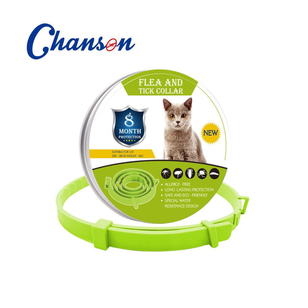 Collier anti-insectes vert pour chat - Boîte de nourriture pour chat - 38 cm