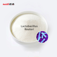 Poudre de probiotiques Lactobacillus 10B de qualité alimentaire pour compléments alimentaires, service OEM, certifiée GMP, en vrac