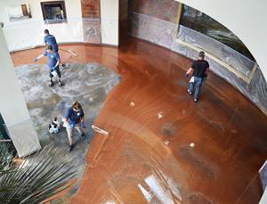 Resina epoxi cristalina de componentes dobles para revestimiento de encimera - Product Image 4