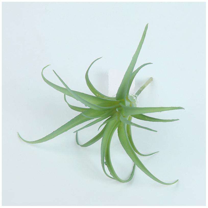 Small greenish-white