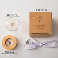 Pissenlit Usb Led Boule de Cristal Fleur Conservée avec Base en Bois Conservée Véritable Rose pour Cadeau de Saint Valentin des Mères