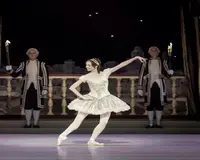Heißer Verkauf Neue Tanz kostüme Profession elle Ballett-Tutu-Performance-Kostüme. New -- 28